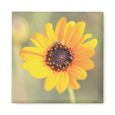 Coreopsis Flower Refrigerator Magnet by Jrtmedia