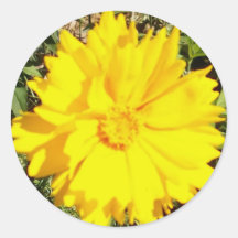 Coreopsis Gold Flower Stickers
