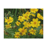 Coreopsis lanceolata postcards