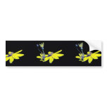 Coreopsis major bumper stickers