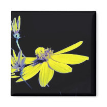 Coreopsis major fridge magnet
