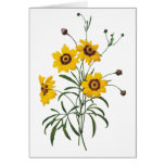 Coreopsis Watercolor Congratulations Card