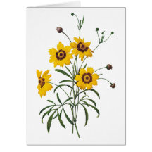 Coreopsis Watercolor Get Well Soon Card