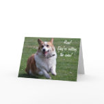 Corgi Card