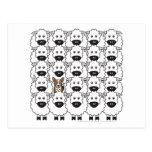 Corgi in the Sheep Post Cards