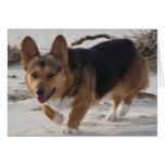 Corgi On the Beach Cards