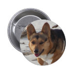 Corgi On the Beach Pin