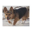 Corgi On the Beach postcards