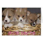 Corgi pups in a basket Mum Card