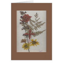 Coriopsis Cards