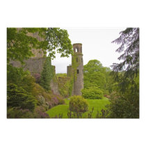 Cork, Ireland. The infamous Blarney Castle 2