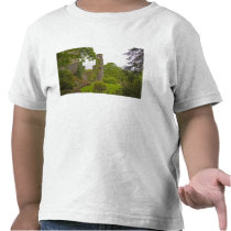 Cork, Ireland. The infamous Blarney Castle 2 T-shirts