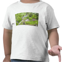 Cork, Ireland. The infamous Blarney Castle Tee Shirts