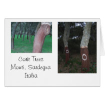 Cork Trees - Sardinia, Italy