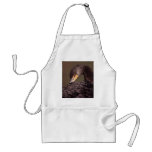 cormorant apron