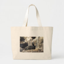 Cormorant Bags