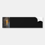 cormorant bumper sticker