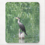 Cormorant  Liberty Park Fallon NV mousepads