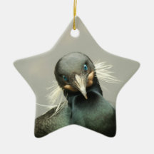 Cormorant Ornament