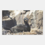 Cormorant Rectangular Stickers