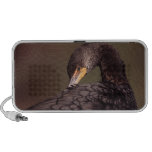 cormorant travel speakers