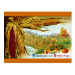 Corn and Pumpkins Vintage Thanksgiving Postcards