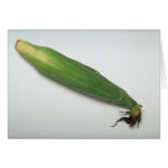 Corn cob greeting card