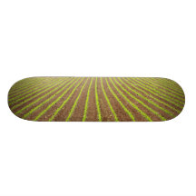 Corn field custom skateboard