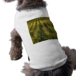Corn field pet clothing