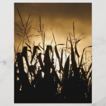 Corn field Silhouettes Personalized Flyer