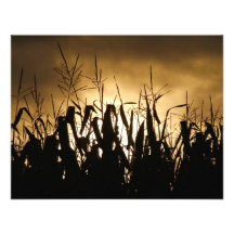 Corn field Silhouettes Personalized Invites