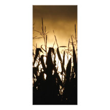 Corn field Silhouettes Personalized Rack Card