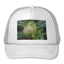 Corn on the Cob Trucker Hat