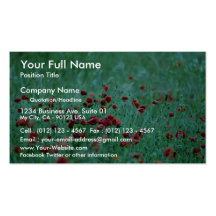Corn poppies (Papaver Rhoeas) Business Card Template