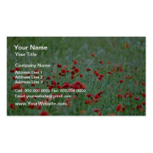 Corn poppies (Papaver Rhoeas)  flowers Business Card Template