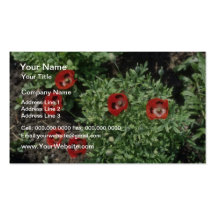 Corn Poppy (Papaver Rhoeas) flowers Business Card