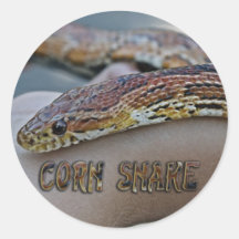 CORN SNAKE STICKER