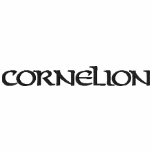 Cornelion t-shirt embroidered shirts