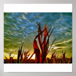 Cornfield Dawn Poster