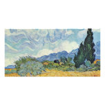 Cornfield With Cypresses By Vincent Van Gogh photo cards