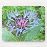 Cornflower 78 ~ mousepad