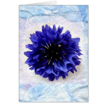 Cornflower Card