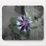 Cornflower Mousepads