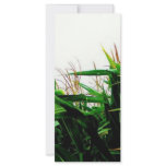 Corny rack cards