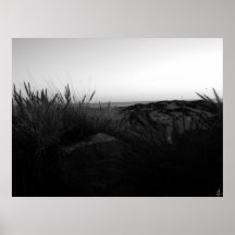 Coronado Beach Print