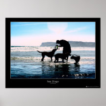 Coronado Dog Beach Posters