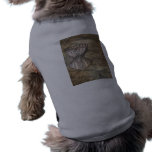 Corset Collage pet clothing