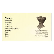 corset Fig 119 Business Cards