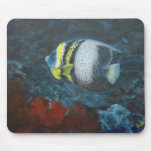 Cortez Angelfish Mouse Pads