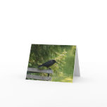 Corvus brachyrhynchos, American Crow Greeting Cards